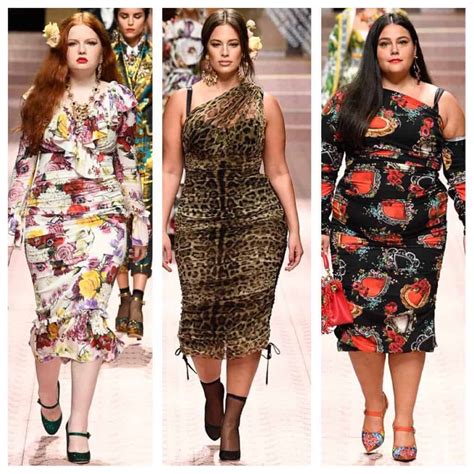 plus size dolce gabbana